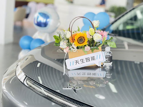 小鵬汽車(chē)2.jpg