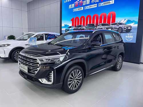 奇瑞捷途、星途雙店試營業(yè)12.jpg